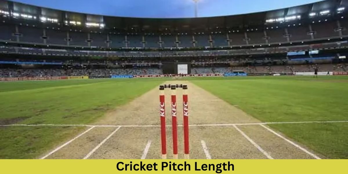 Cricket Pitch Length