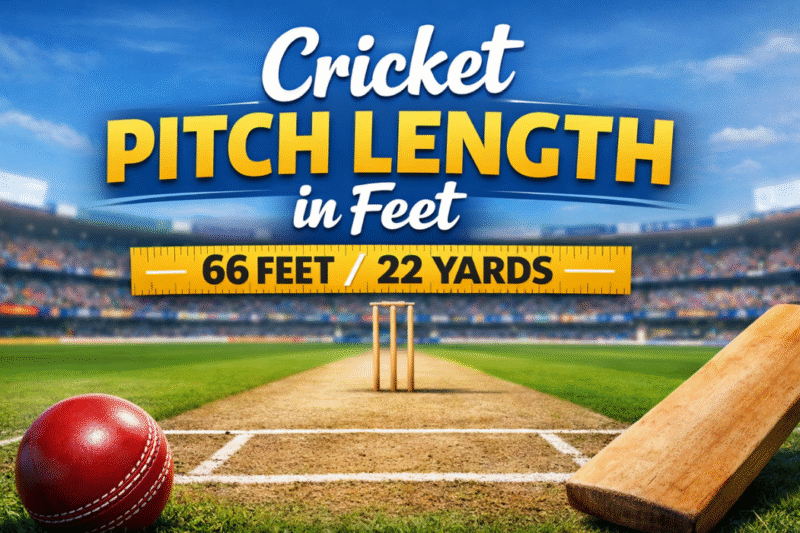 Cricket Pitch Length in Feet