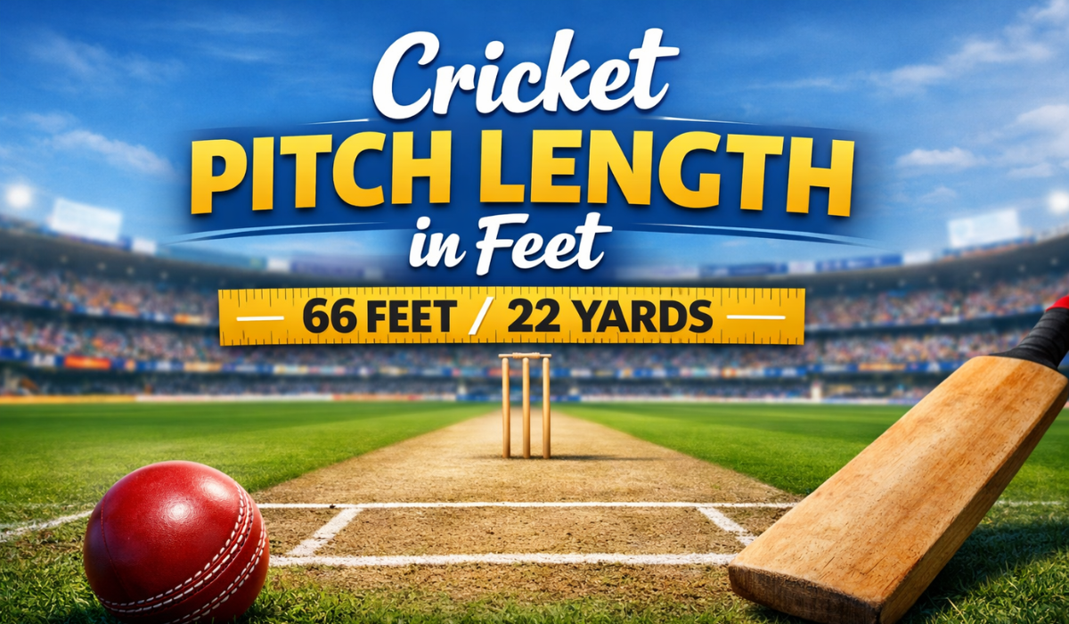 Cricket Pitch Length in Feet